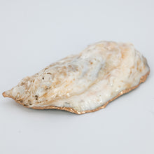 Load image into Gallery viewer, Oyster Jewelry Dishes
