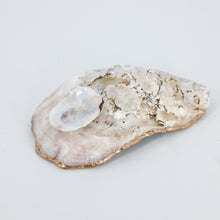 Load image into Gallery viewer, Oyster Jewelry Dishes