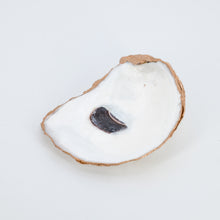 Load image into Gallery viewer, Oyster Jewelry Dishes
