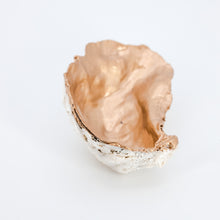 Load image into Gallery viewer, Oyster Jewelry Dishes