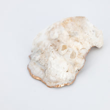 Load image into Gallery viewer, Oyster Jewelry Dishes