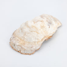 Load image into Gallery viewer, Oyster Jewelry Dishes
