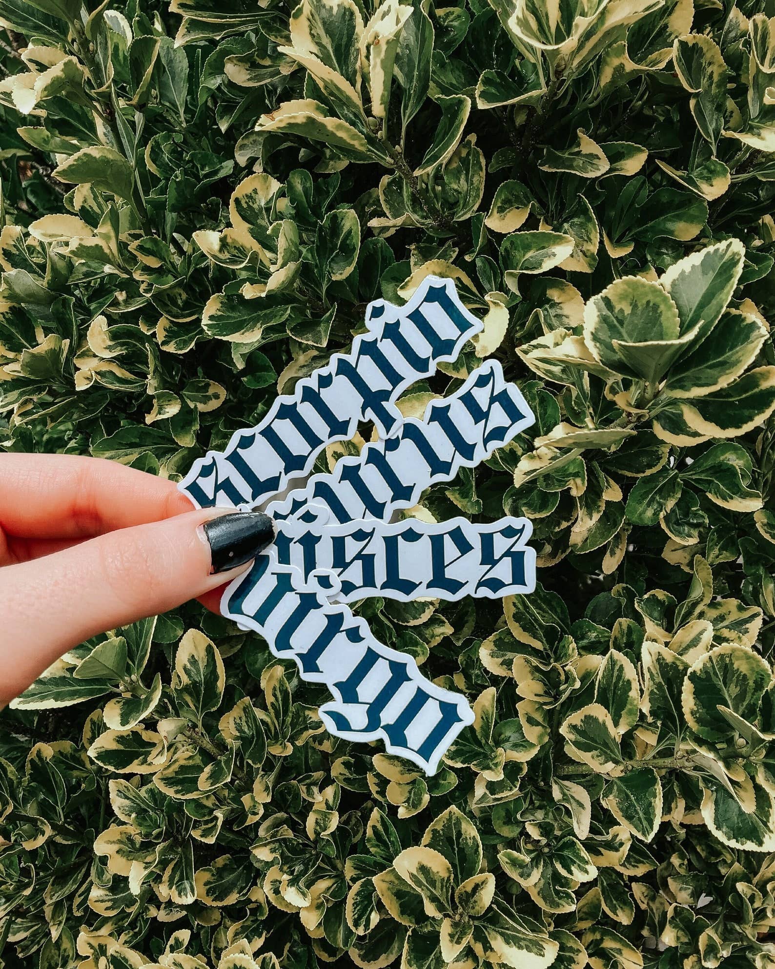 Astrology Zodiac Stickers