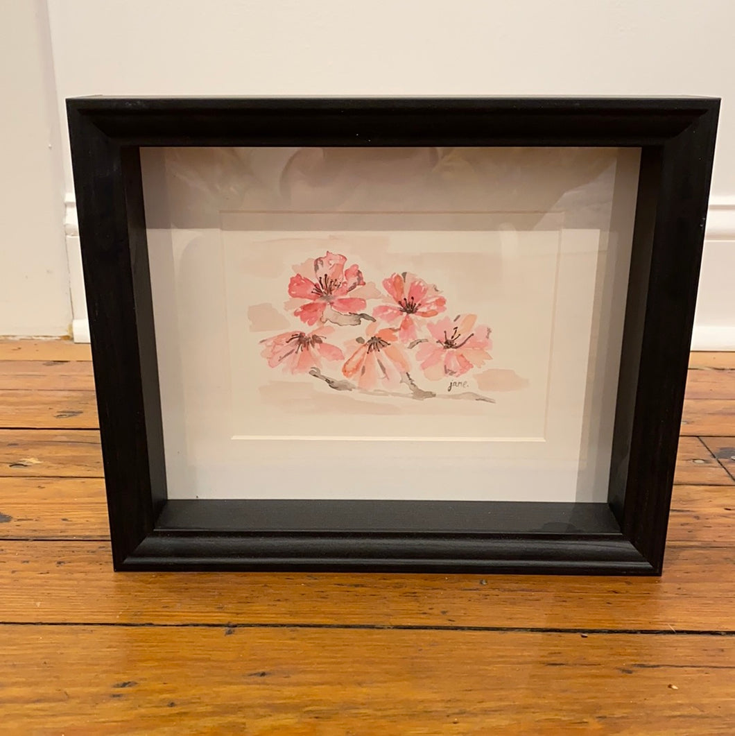 Cherry blossoms framed