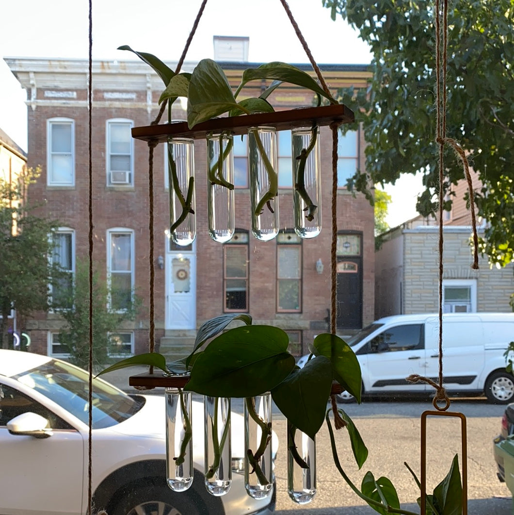 Eight vase plant hanger